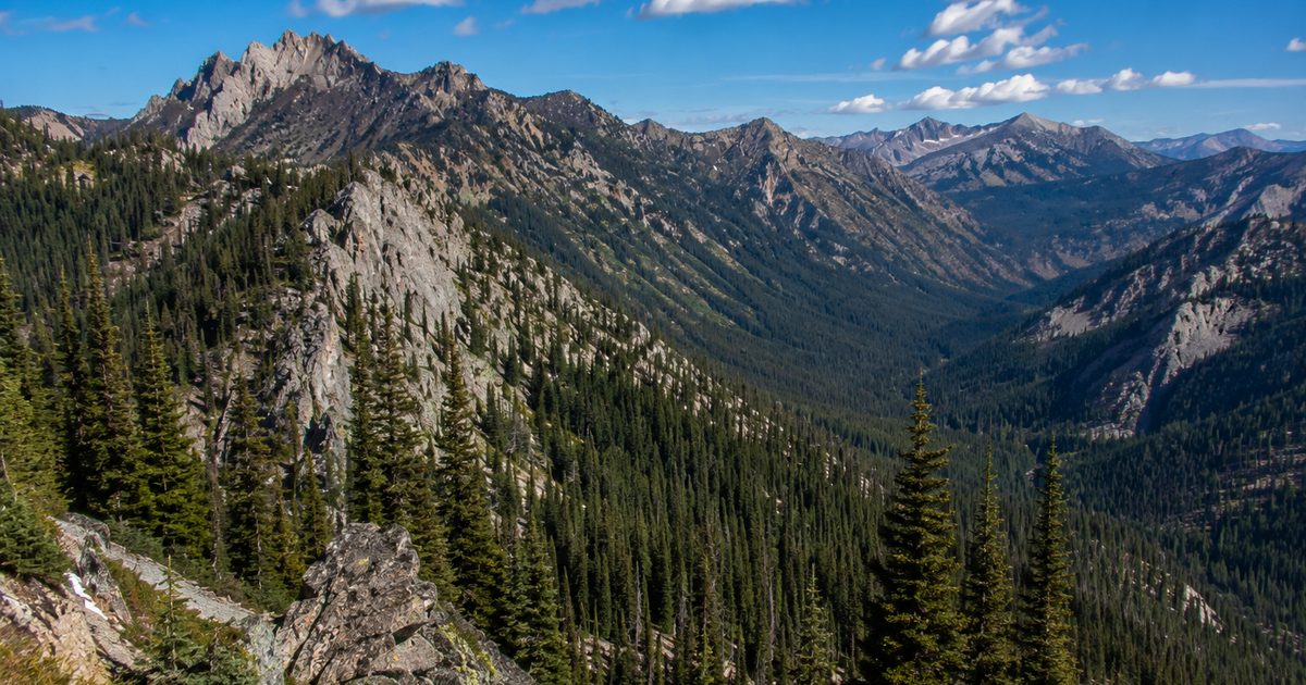 Rugged Idaho mountain wilderness with dense timber and rocky ridgelines under a blue sky