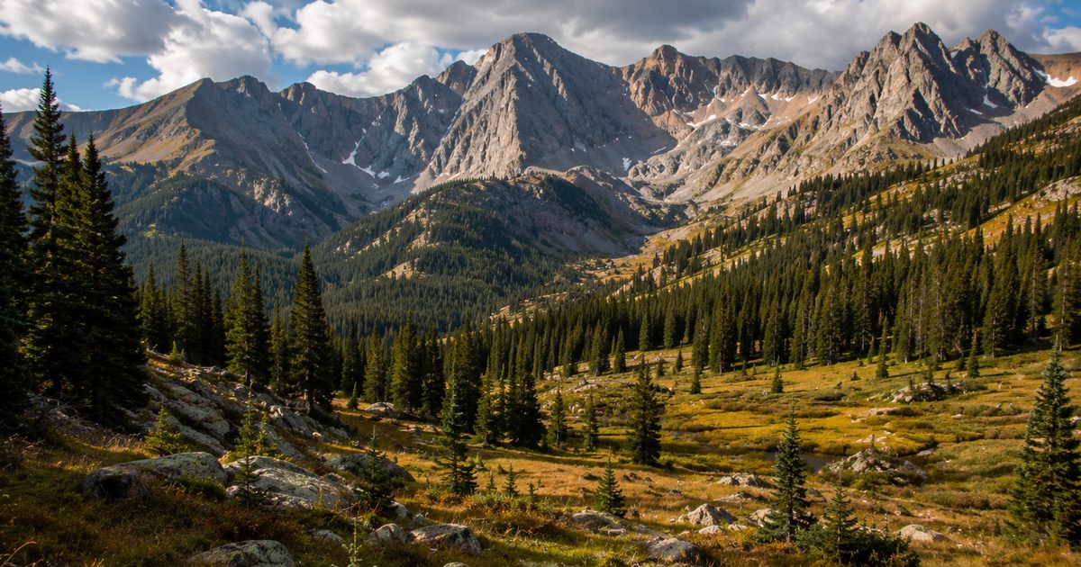 Rocky mountain wilderness with pine timber and open alpine meadow, elk hunting country