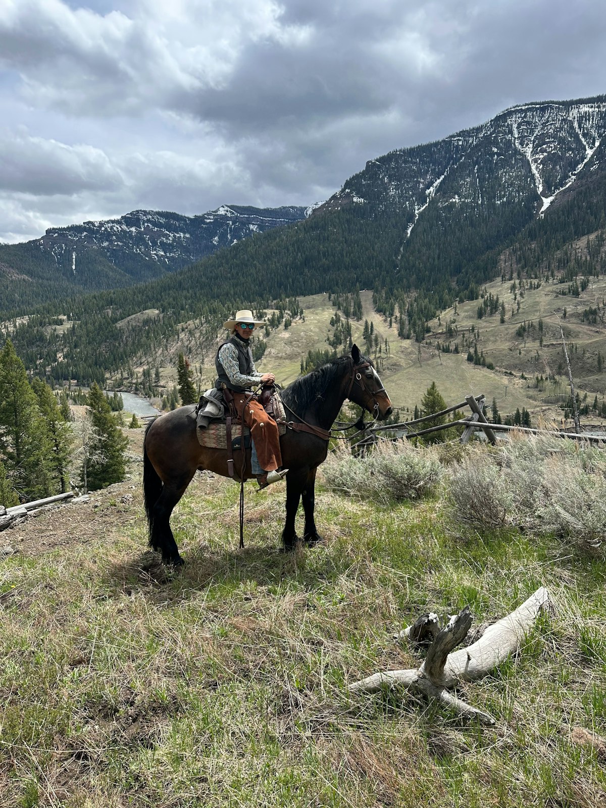 Outfitter on horseback on a ridge glassing for game — guided western big game hunt